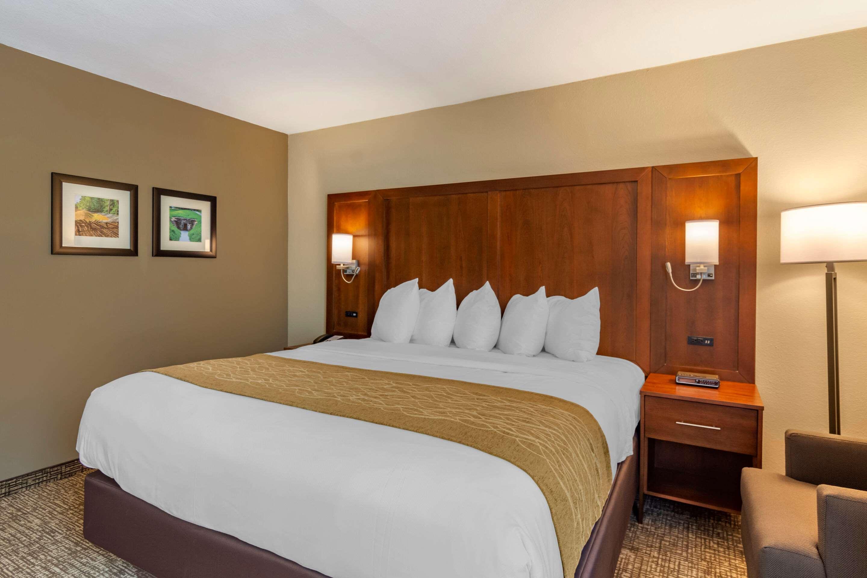 Comfort Inn Petersburg Near Fort Gregg-Adams Extérieur photo