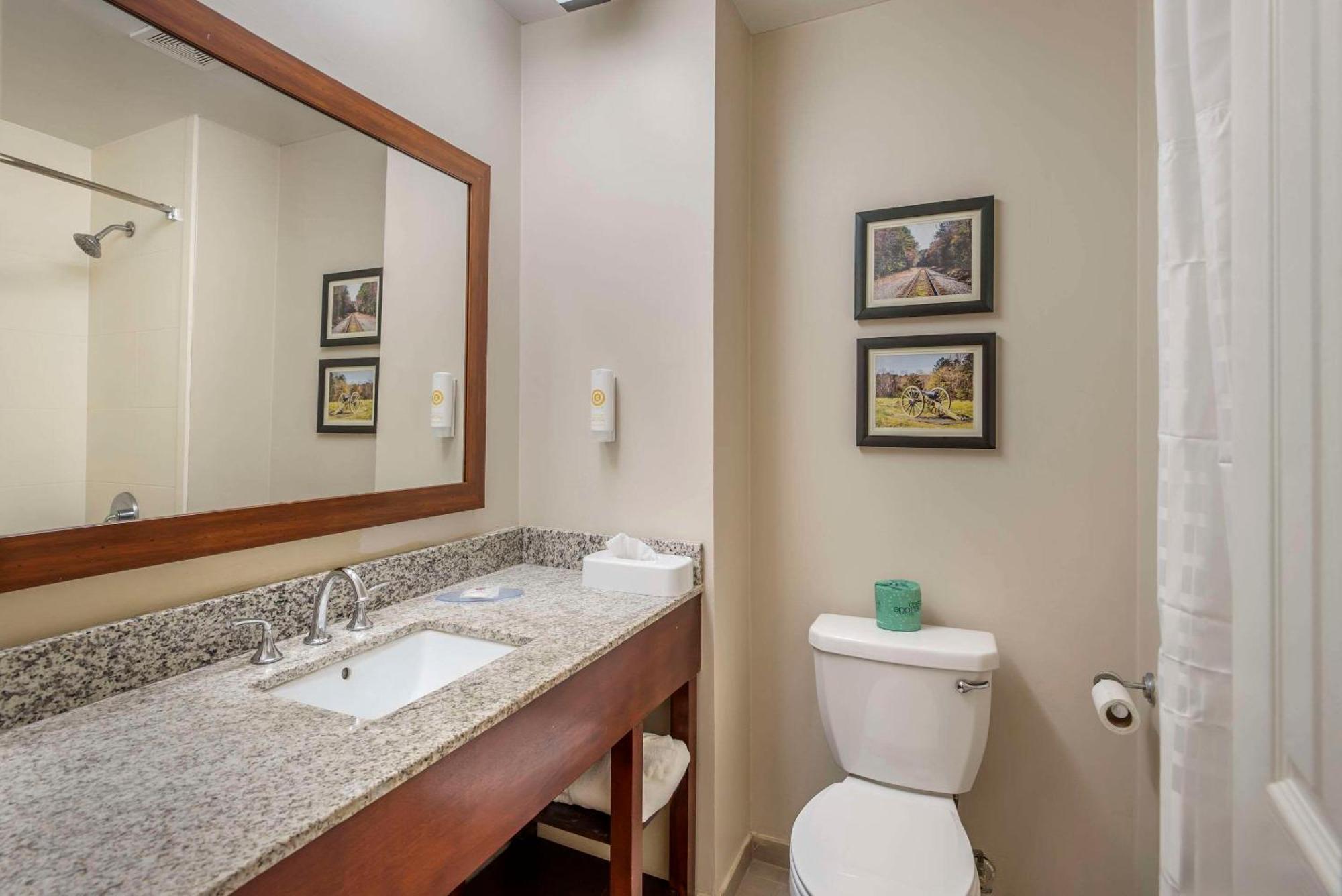 Comfort Inn Petersburg Near Fort Gregg-Adams Extérieur photo