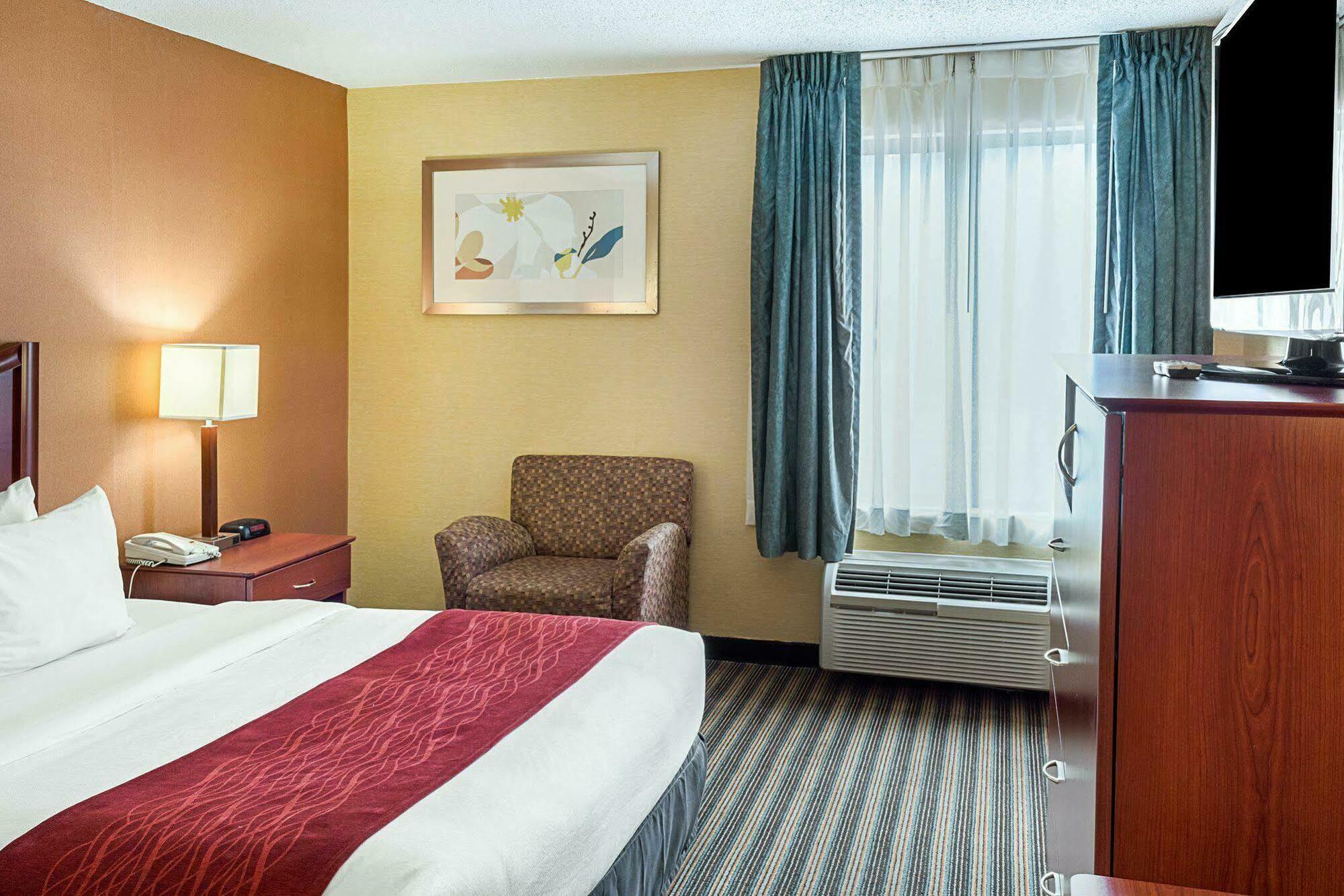 Comfort Inn Petersburg Near Fort Gregg-Adams Extérieur photo